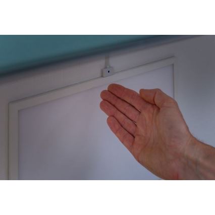 Paulmann 70807 - Dimbaar LED/8W Paneel met een Sensor GLOW 24/230V