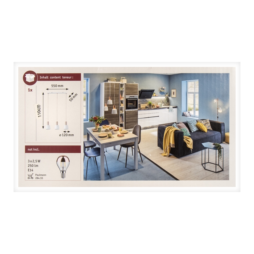 Paulmann 79657 - 3xE14/20W Hanglamp aan een koord NEORDIC HALDAR 230V