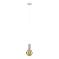 Paulmann 79750 - 1xE27/20W Hanglamp aan een koord NORDIN 230V