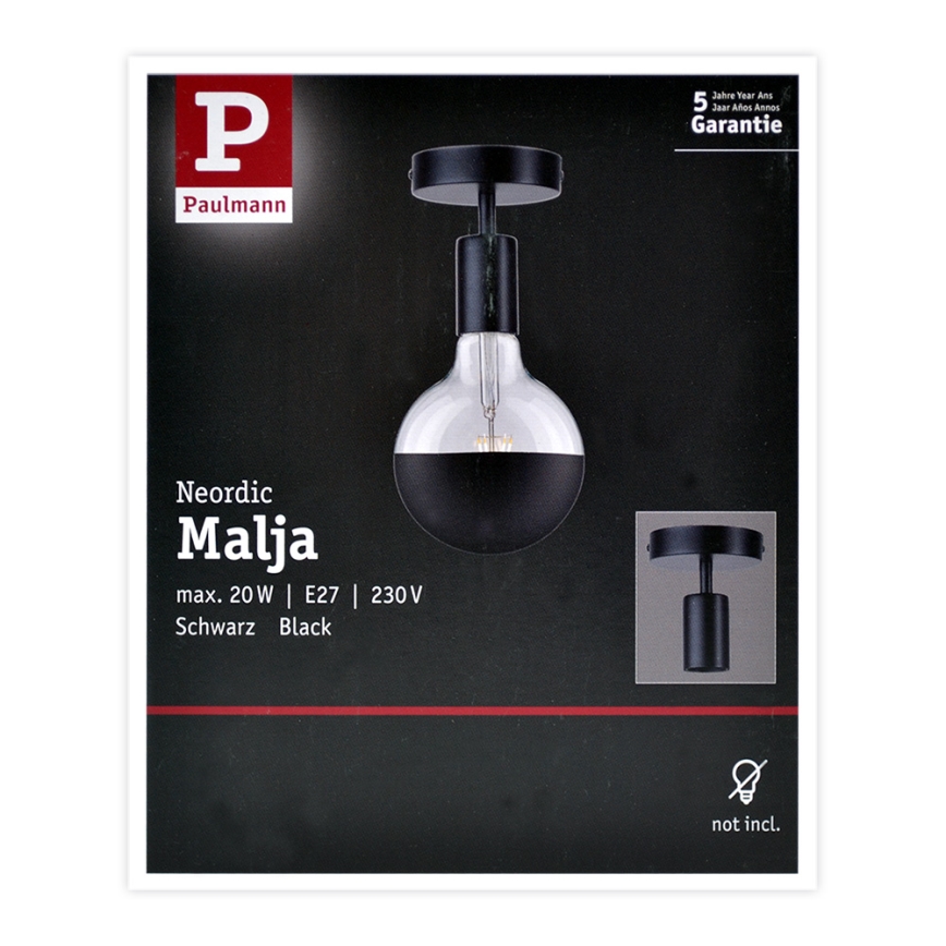 Paulmann 79760 - Plafondlamp HALDOR 1xE27/20W/230V