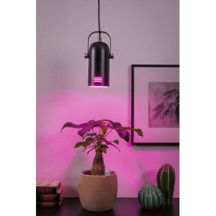 Paulmann 79766 - LED RGBW 1x E27/12W hanglamp met kabel LAVEA 230V zwart