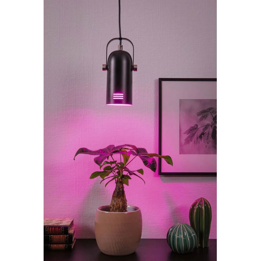 Paulmann 79766 - LED RGBW 1x E27/9W hanglamp met kabel LAVEA 230V zwart