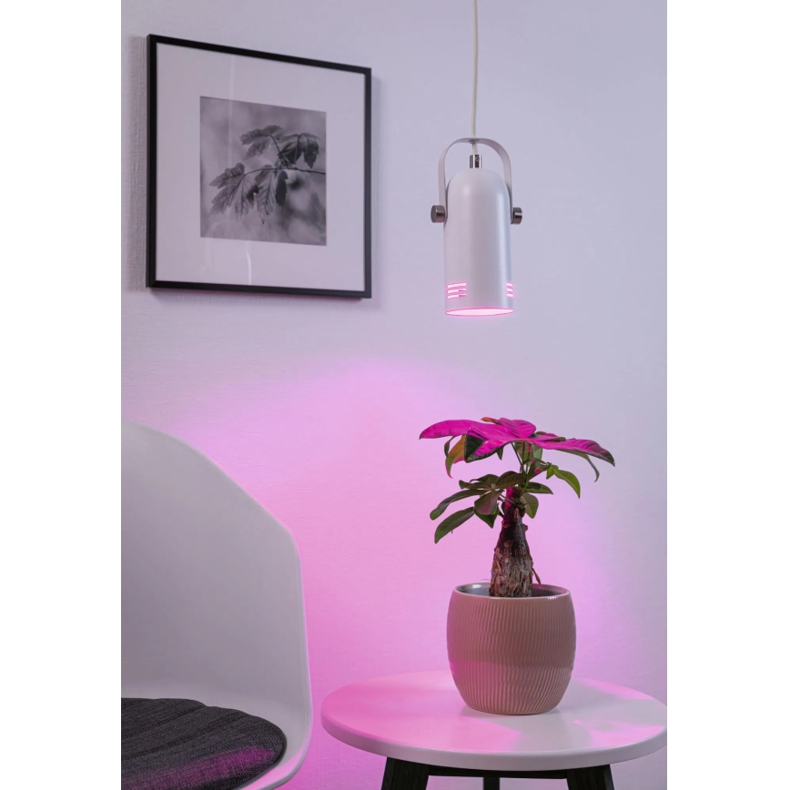 Paulmann 79767 - LED RGBW 1xE27/9W hanglamp met kabel LAVEA 230V wit