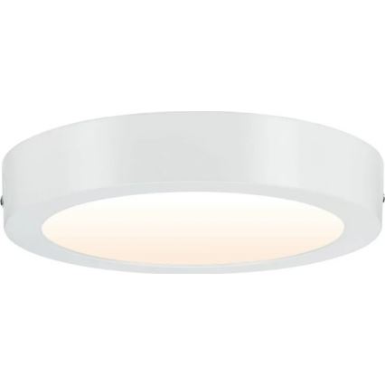 Paulmann 79795 - LED/13W Plafondlamp CARPO 230V 2300/2500/3000K