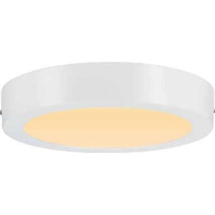 Paulmann 79795 - LED/13W Plafondlamp CARPO 230V 2300/2500/3000K