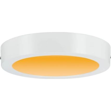 Paulmann 79795 - LED/13W Plafondlamp CARPO 230V 2300/2500/3000K