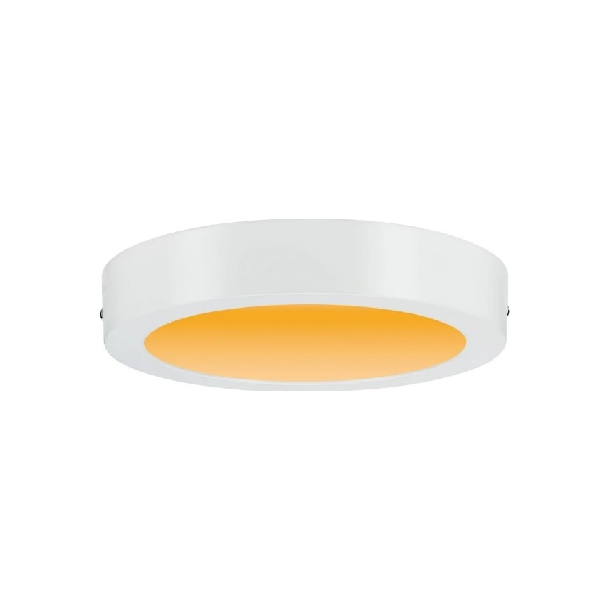 Paulmann 79795 - LED/13W Plafondlamp CARPO 230V 2300/2500/3000K