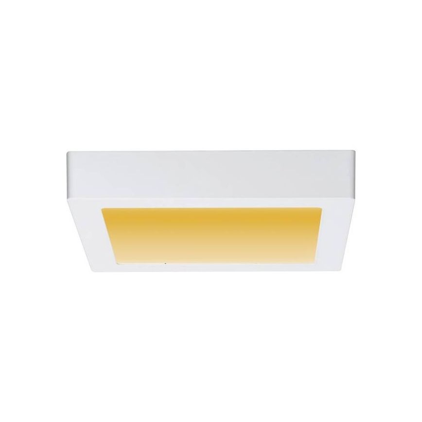 Paulmann 79796 - LED/13W Plafond Lamp CARPO 230V 2300-3000K