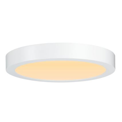 Paulmann 79799 - LED/19W Plafondlamp CARPO 230V 2300/2500/3000K