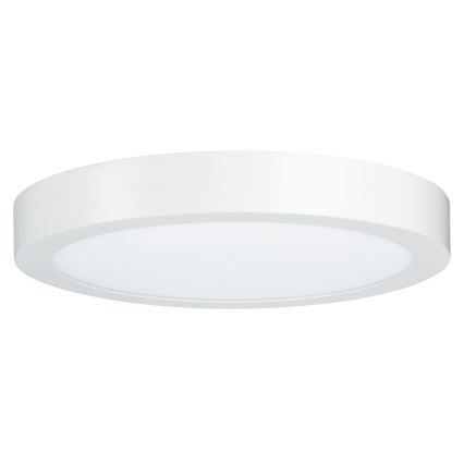 Paulmann 79799 - LED/19W Plafondlamp CARPO 230V 2300/2500/3000K