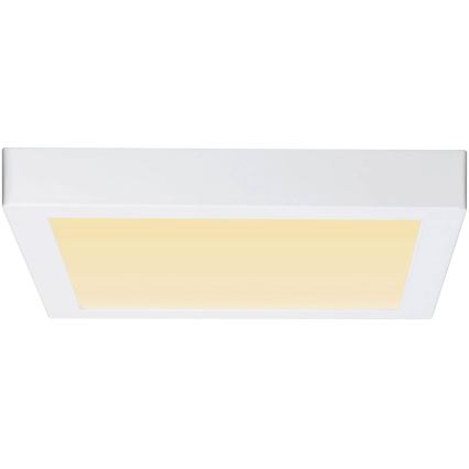 Paulmann 79801 - LED/13W Plafond Lamp CARPO 230V 2300/2500/3000K