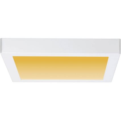 Paulmann 79801 - LED/13W Plafond Lamp CARPO 230V 2300/2500/3000K