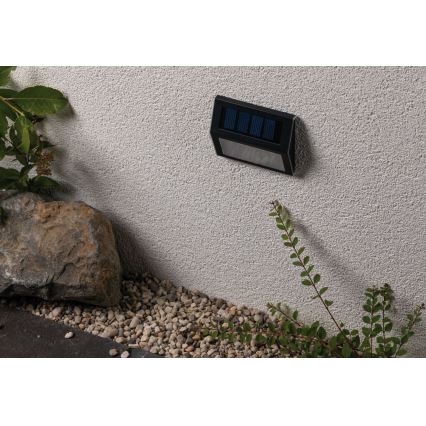 Paulmann 94234 - LED/0,05W IP44 Buiten zonne-energie lamp met sensor DAYTON 1,2V 400 mAh