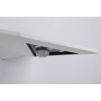 Paulmann 94244 - LED/1,2W IP44 Zonne-wandlamp met sensor YOKO 3,7V 1800 mAh wit