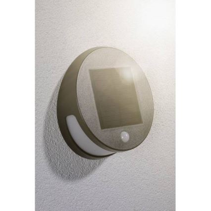 Paulmann 94265 - LED/3W IP44 Solarlamp voor buiten met sensor HELENA 3,7V 1800 mAh