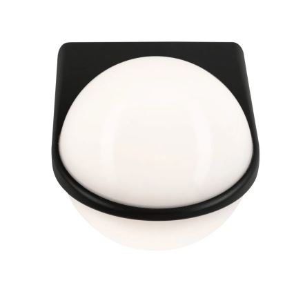 Paulmann 94401 - LED/10W IP44 Wandlamp voor buiten BOL 230V