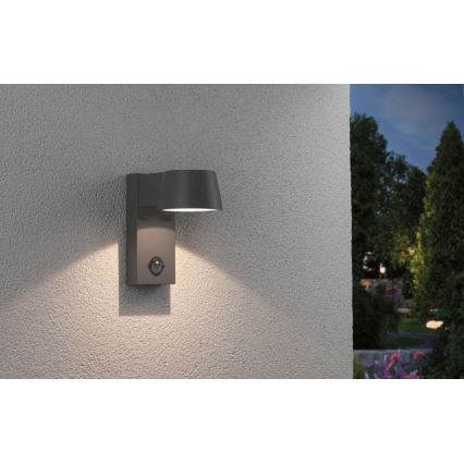 Paulmann 94453 - LED Buiten wandlamp met sensor / 6W IP44 CAPEA 230V