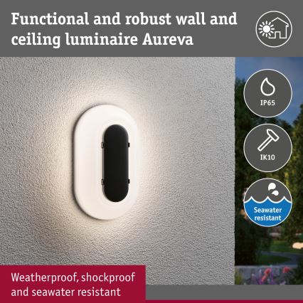 Paulmann 94957 - LED/18,5W IP65 Dimbaar buitenwandarmatuur ELUNOR 230V 2200/3000/4000K antraciet