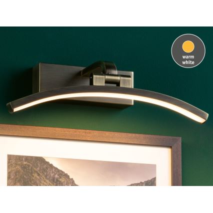 Paulmann 95559 - LED/6W schilderijlamp BENTO 230V 30 cm messing