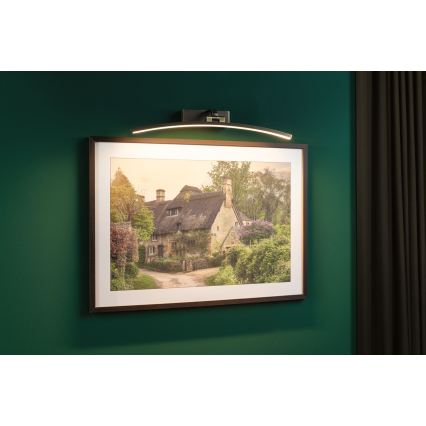 Paulmann 95561 - LED/10W schilderijlamp BENTO 230V 50 cm messing