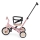 PETITE&MARS - Kinderdriewieler 5-in-1 TURBO LIMITED Rosy Wilderness