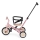 PETITE&MARS - Kinderdriewieler 5-in-1 TURBO Rosy Wilderness