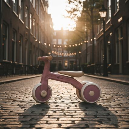 PETITE&MARS - Kinderloopfiets 3-in-1 BINGO Oudroze