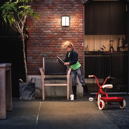 Philips - LED-buitenwandlamp 6W IP44