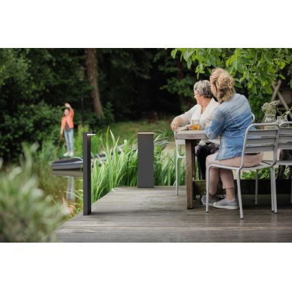 Philips - LED Buitenlamp 2xLED/4,5W/230V 2700K IP44