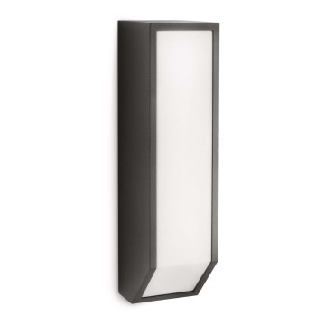Philips 16932/93/16 - Buiten wandlamp MYGARDEN FEATHER 1xE27/23W/230V