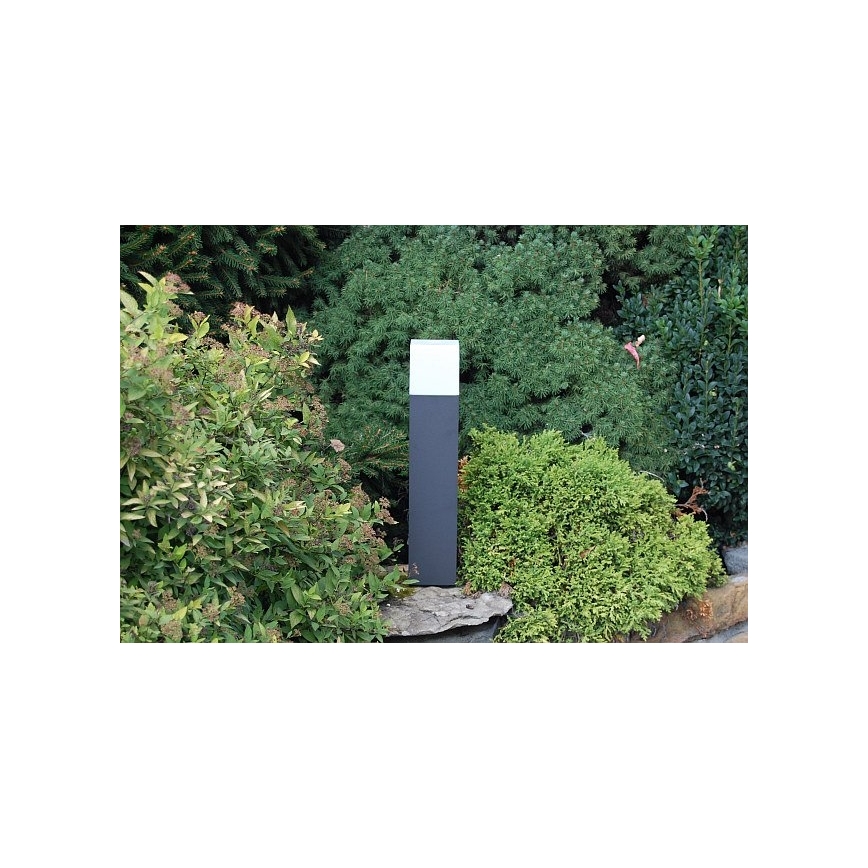 Philips 16935/93/16 - Buitenlamp ECOMOODS BRANCHE 1xE27/20W/230V IP44
