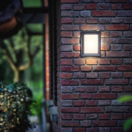 Philips - Buitenwandlamp LED/6W/230V IP44