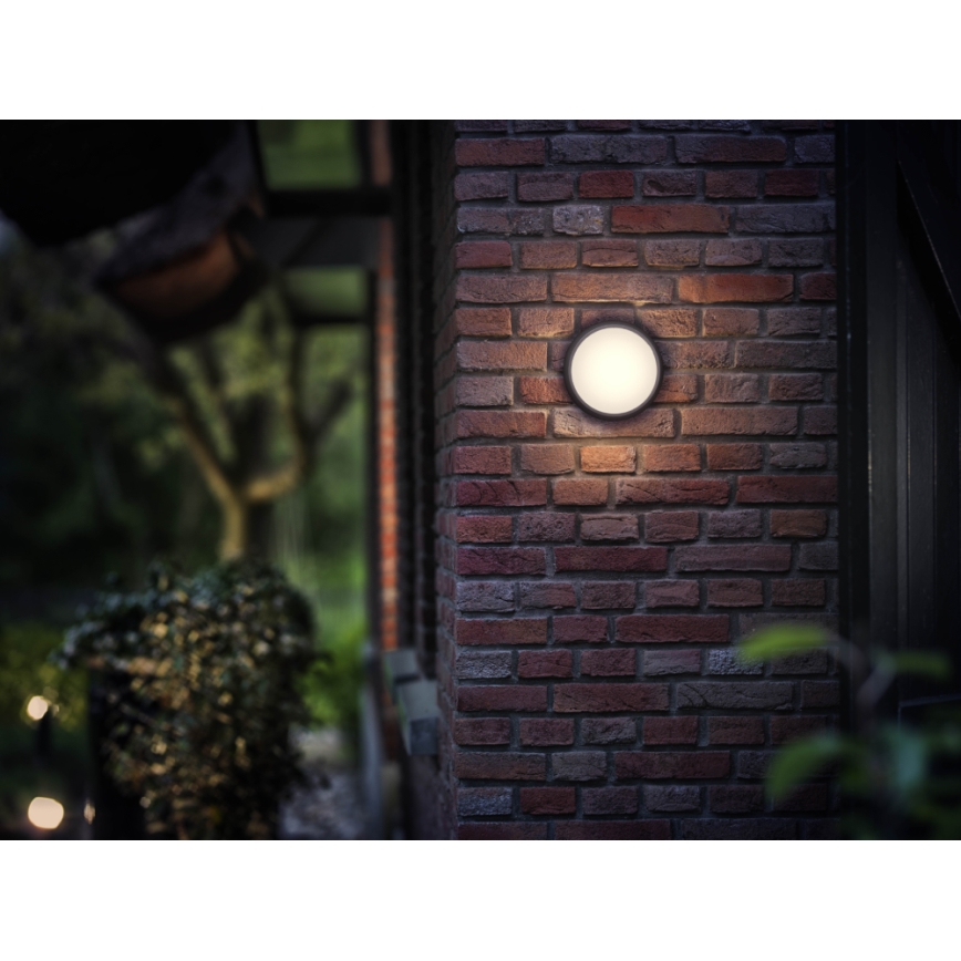 Mevrouw roestvrij punt Philips 17304/30/16 - LED Wandlamp voor buiten MYGARDEN EAGLE 1xLED/3,5W  IP44 | Lampenmanie