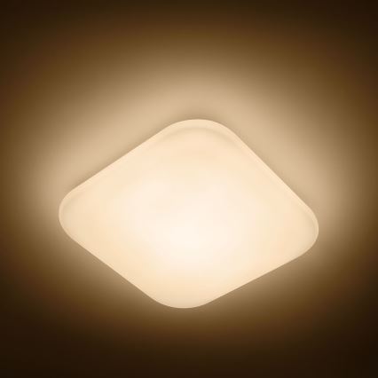 Philips - LED-plafonnière LED/17W/230V 2700K