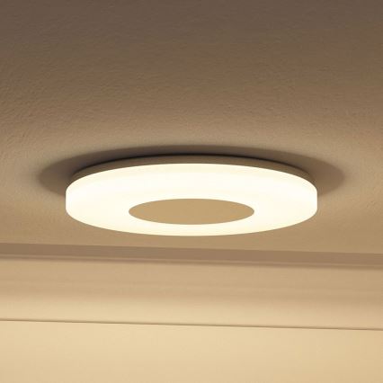 Philips 32070/17/16 - Badkamerlamp MYBATHROOM BEACH 1x2GX13/40W/230V IP44