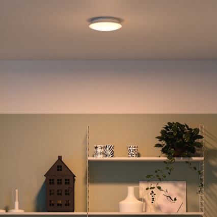 Philips - Plafond Lamp LED/10W/230V