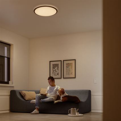 Philips - Dimbare LED Plafond Lamp LED/18W/230V