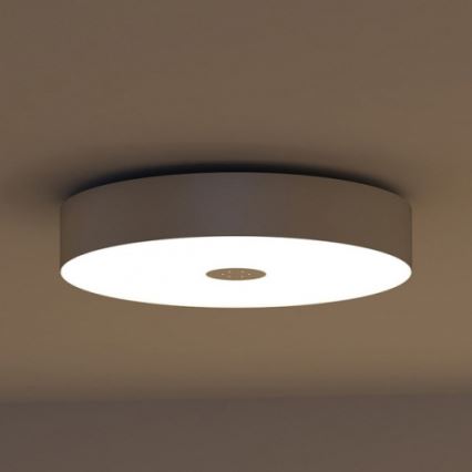 Philips 40340/48/16 - Plafonnière MYLIVING FAIR 1x2GX13/60W/230V