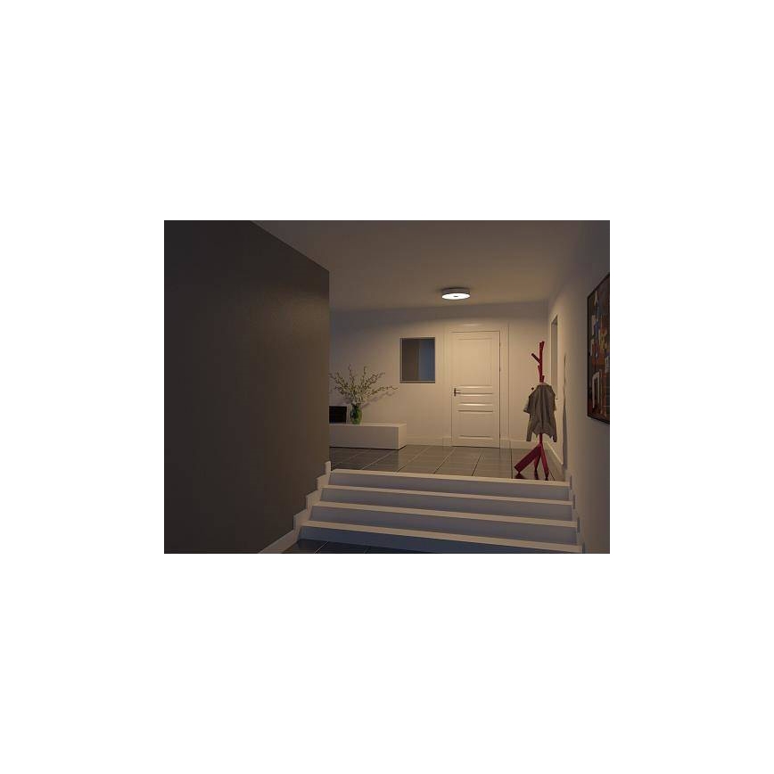 Philips 40340/48/16 - Plafonnière MYLIVING FAIR 1x2GX13/60W/230V