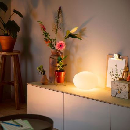 Philips - LED RGB Dimbare bureaulamp Hue FLOURISH White And Color Ambiance 1xE27/9,5W/230V