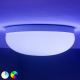 Philips - LED RGBW Dimbare plafondlamp Hue FLOURISH White And Color Ambiance LED/32W/230V
