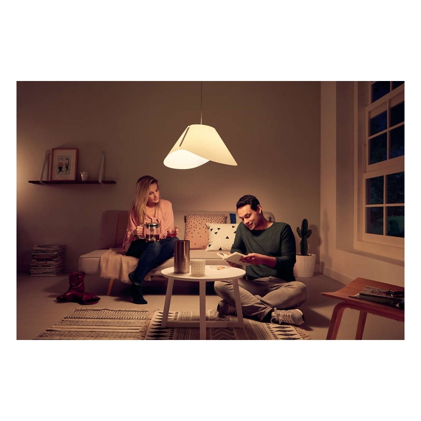 Philips 40950/31/PN - Plafond hanglamp E27/60W/230V