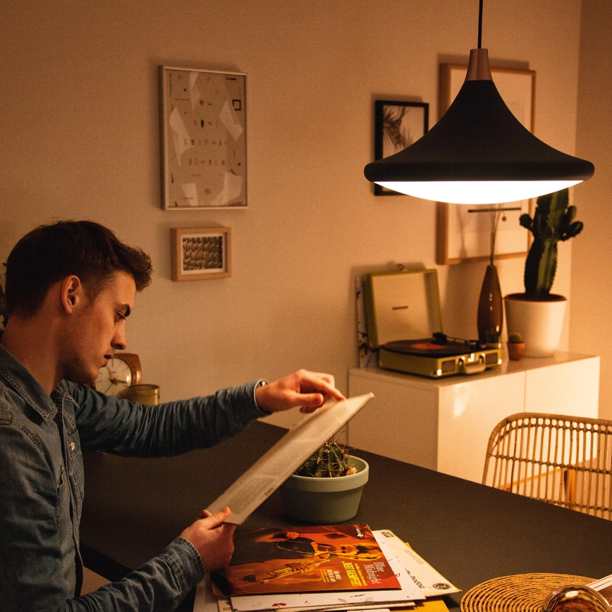 Philips - Hanglamp 1xE27/60W/230V