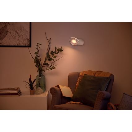 Philips 50441/11/P0 - LED Spotlamp dimbaar MYLIVING GLISSETTE 1xLED/4,5W/230V