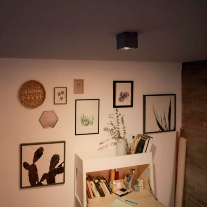 Philips - Dimbare LED-spot LED/4,5W/230V