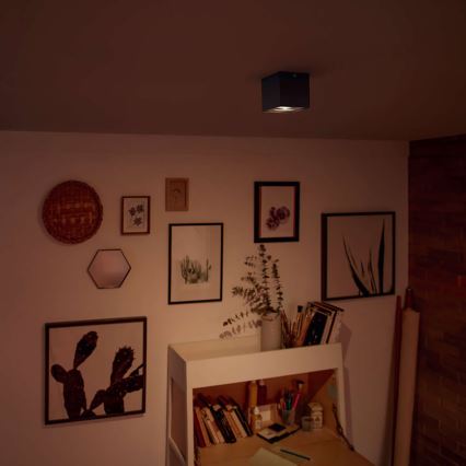 Philips - Dimbare LED-spot LED/4,5W/230V