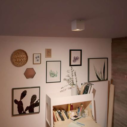 Philips - Dimbare LED-spotlamp LED/4,5W/230V