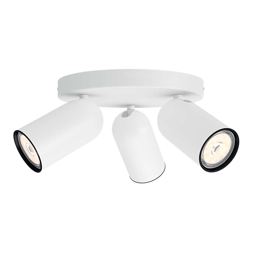 Zeker chef Aan boord Philips 50583/31/PN - Spotlamp MYLIVING PONGEE 3xGU10/5,5W/230V |  Lampenmanie