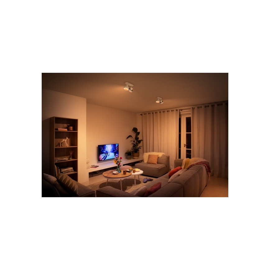 Philips 50602/31/P0 - LED Spot BUKKO 2xLED/4,5W/230V