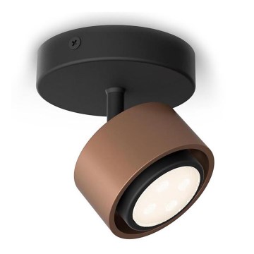 Philips 50651/05/P0 - LED spot FERANO LED/4,3W/230V